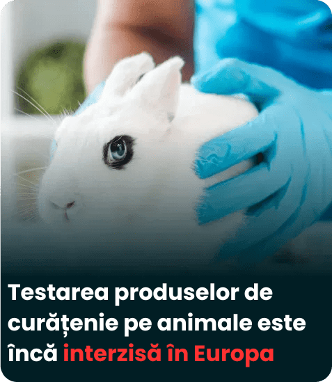Testarea produselor de curățenie pe animale: Este cu adevărat interzisă în Europa?